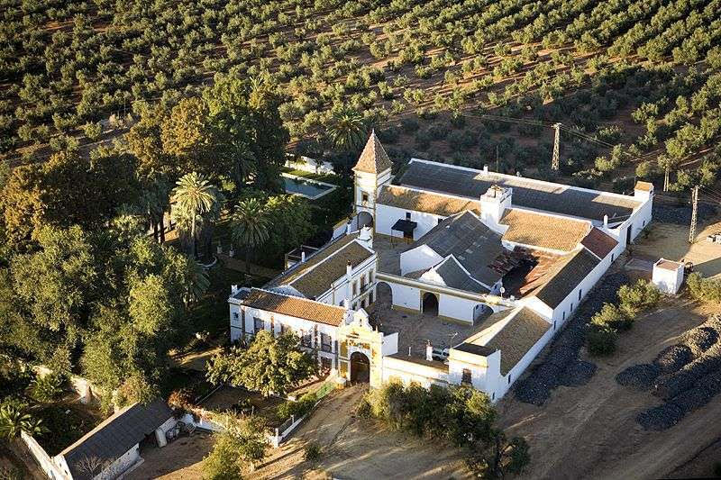 Hacienda la Concepción, vulgo la Víbora